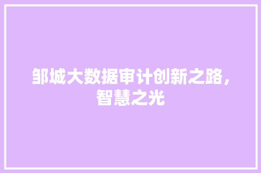 邹城大数据审计创新之路，智慧之光