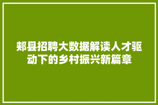 郏县招聘大数据解读人才驱动下的乡村振兴新篇章
