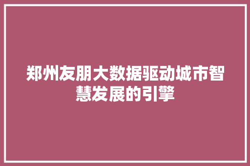 郑州友朋大数据驱动城市智慧发展的引擎