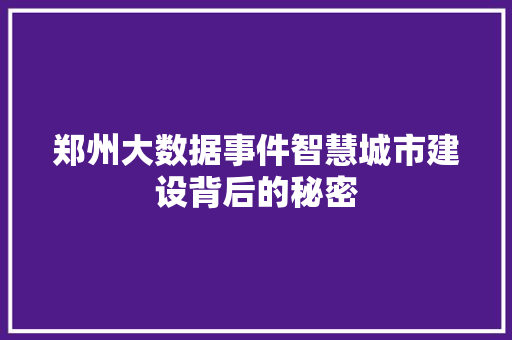 郑州大数据事件智慧城市建设背后的秘密  第1张