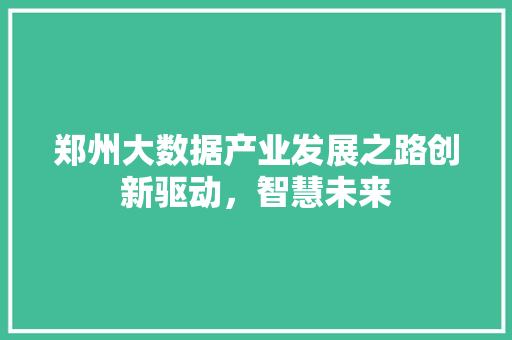 郑州大数据产业发展之路创新驱动，智慧未来  第1张