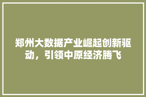 郑州大数据产业崛起创新驱动，引领中原经济腾飞  第1张