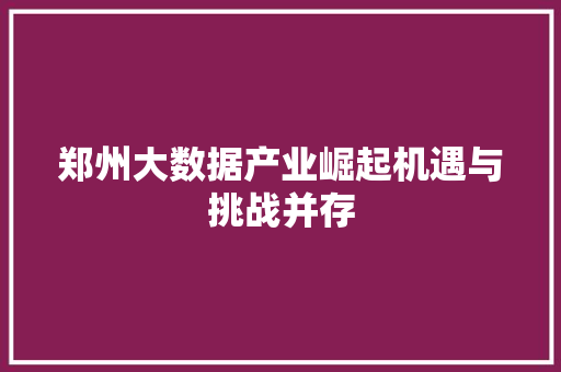 郑州大数据产业崛起机遇与挑战并存  第1张