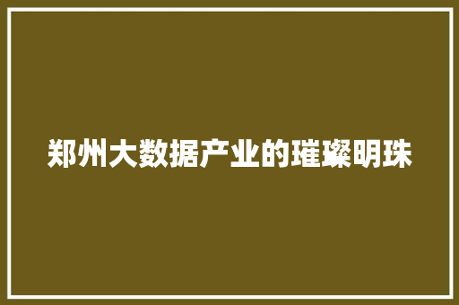 郑州大数据产业的璀璨明珠  第1张