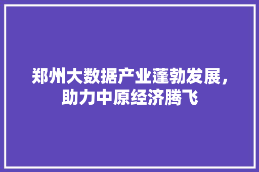 郑州大数据产业蓬勃发展，助力中原经济腾飞  第1张