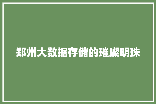 郑州大数据存储的璀璨明珠  第1张