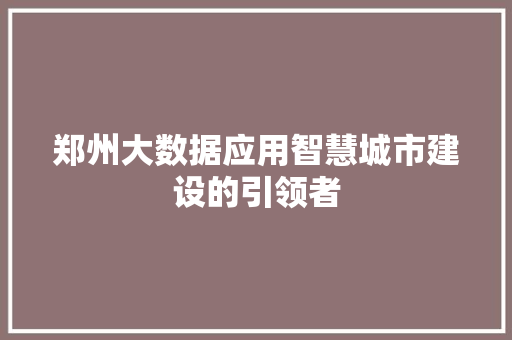 郑州大数据应用智慧城市建设的引领者  第1张