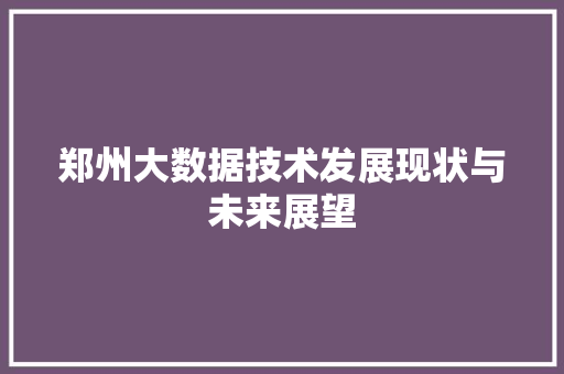 郑州大数据技术发展现状与未来展望  第1张