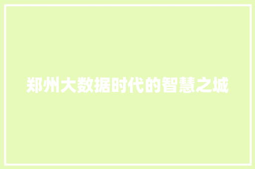 郑州大数据时代的智慧之城  第1张