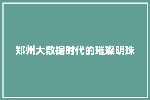 郑州大数据时代的璀璨明珠  第1张