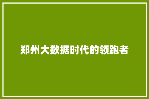 郑州大数据时代的领跑者  第1张