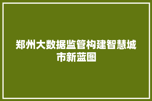 郑州大数据监管构建智慧城市新蓝图  第1张