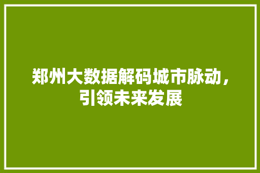 郑州大数据解码城市脉动，引领未来发展  第1张
