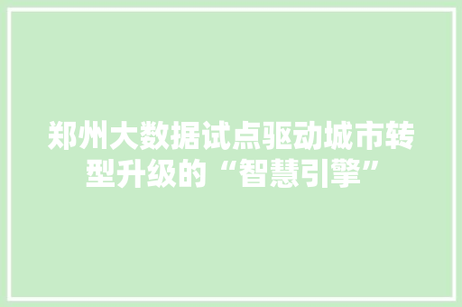 郑州大数据试点驱动城市转型升级的“智慧引擎”  第1张