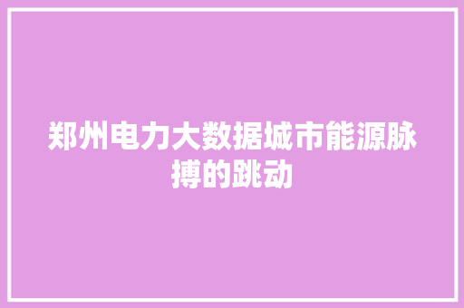 郑州电力大数据城市能源脉搏的跳动  第1张