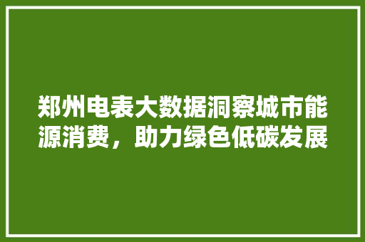郑州电表大数据洞察城市能源消费，助力绿色低碳发展