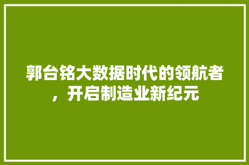 郭台铭大数据时代的领航者，开启制造业新纪元