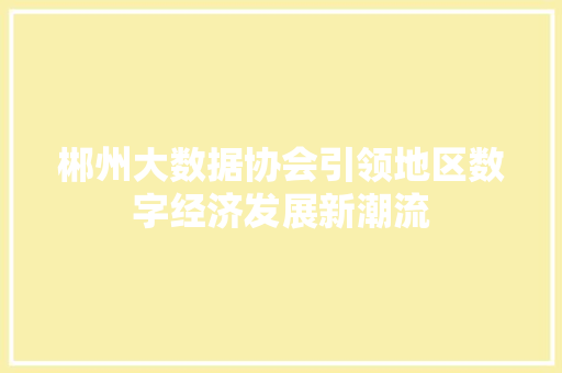 郴州大数据协会引领地区数字经济发展新潮流