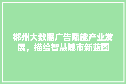 郴州大数据广告赋能产业发展，描绘智慧城市新蓝图