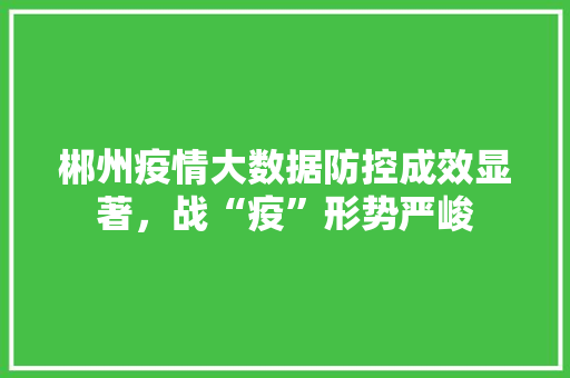 郴州疫情大数据防控成效显著，战“疫”形势严峻  第1张