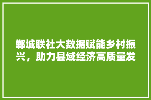 郸城联社大数据赋能乡村振兴，助力县域经济高质量发展
