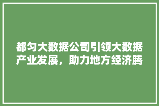 都匀大数据公司引领大数据产业发展，助力地方经济腾飞