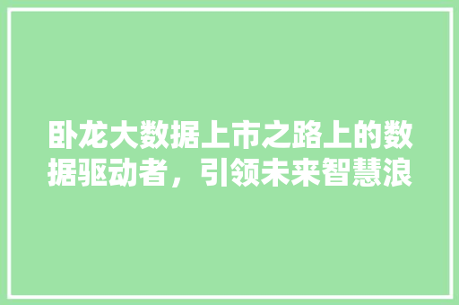 卧龙大数据上市之路上的数据驱动者，引领未来智慧浪潮
