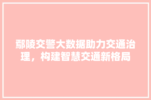 鄢陵交警大数据助力交通治理，构建智慧交通新格局