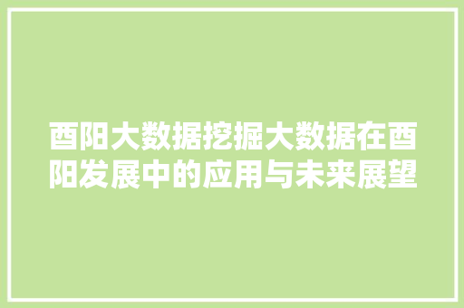 酉阳大数据挖掘大数据在酉阳发展中的应用与未来展望