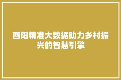 酉阳精准大数据助力乡村振兴的智慧引擎