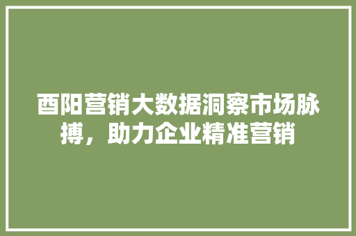 酉阳营销大数据洞察市场脉搏，助力企业精准营销