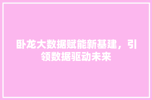 卧龙大数据赋能新基建，引领数据驱动未来
