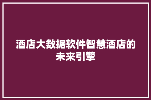 酒店大数据软件智慧酒店的未来引擎