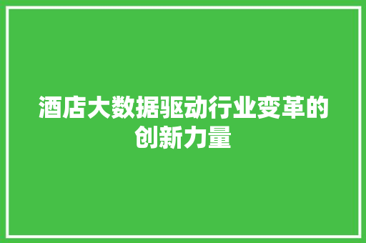 酒店大数据驱动行业变革的创新力量  第1张