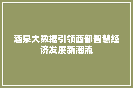酒泉大数据引领西部智慧经济发展新潮流