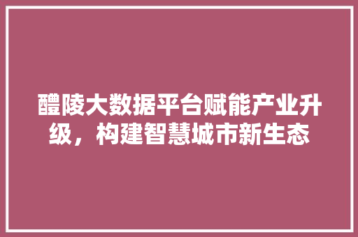 醴陵大数据平台赋能产业升级，构建智慧城市新生态
