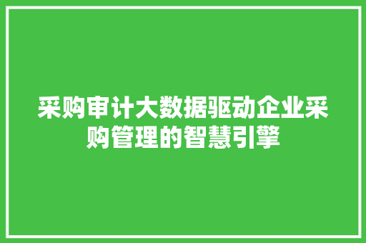 采购审计大数据驱动企业采购管理的智慧引擎