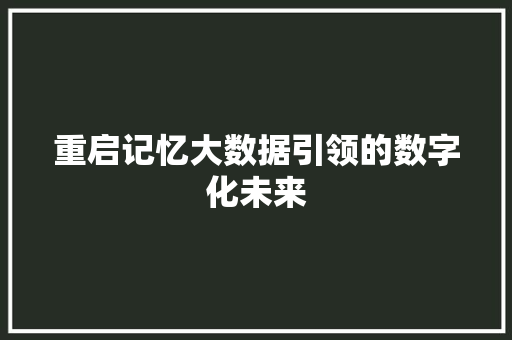 重启记忆大数据引领的数字化未来
