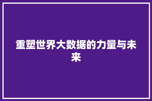 重塑世界大数据的力量与未来