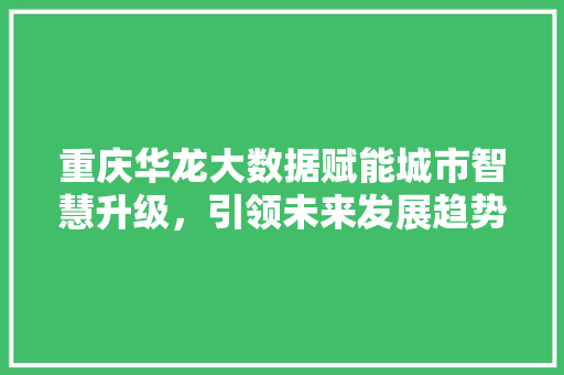 重庆华龙大数据赋能城市智慧升级，引领未来发展趋势