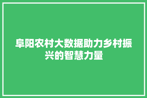 阜阳农村大数据助力乡村振兴的智慧力量