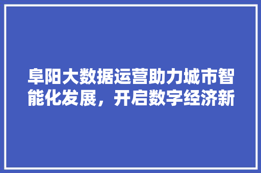 阜阳大数据运营助力城市智能化发展，开启数字经济新篇章