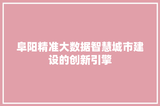 阜阳精准大数据智慧城市建设的创新引擎