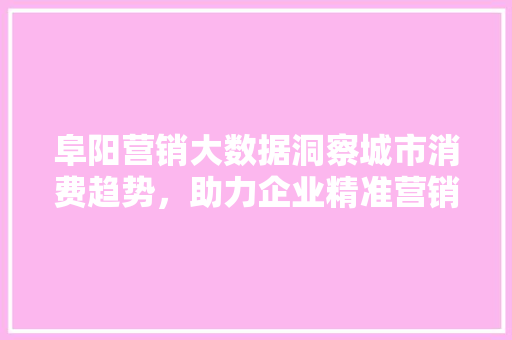 阜阳营销大数据洞察城市消费趋势，助力企业精准营销