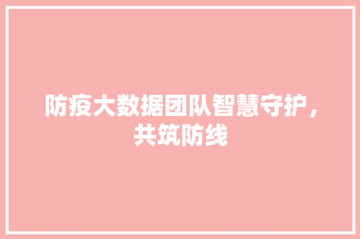 防疫大数据团队智慧守护，共筑防线  第1张