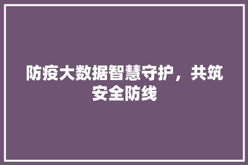 防疫大数据智慧守护，共筑安全防线  第1张