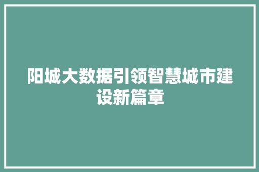 阳城大数据引领智慧城市建设新篇章