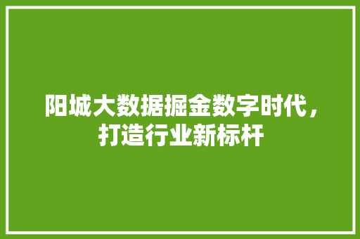 阳城大数据掘金数字时代，打造行业新标杆