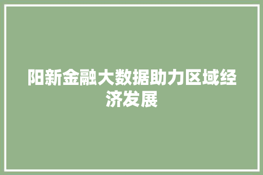 阳新金融大数据助力区域经济发展