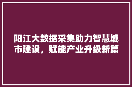 阳江大数据采集助力智慧城市建设，赋能产业升级新篇章